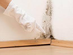 Best Residential Mold Inspection & Testing in Lincoln University, PA